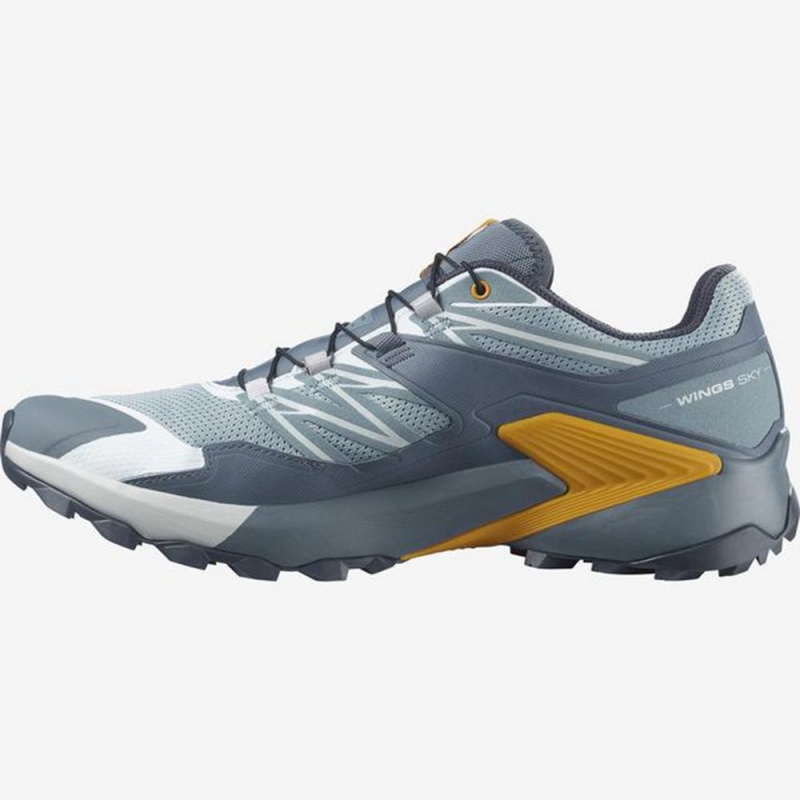 Salomon WINGS SKY Slategray | 1635LFSKG