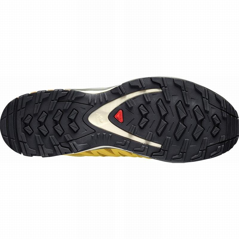 Salomon XA-PRO FUSION ADVANCED Gris | 8152NTKYV