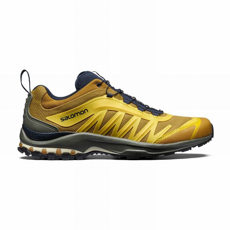 Salomon XA-PRO FUSION ADVANCED Gris | 8152NTKYV