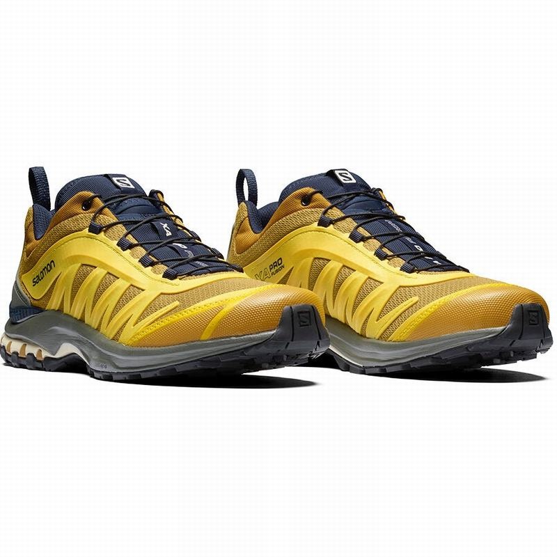 Salomon XA-PRO FUSION ADVANCED Gris | 9243NLKJP