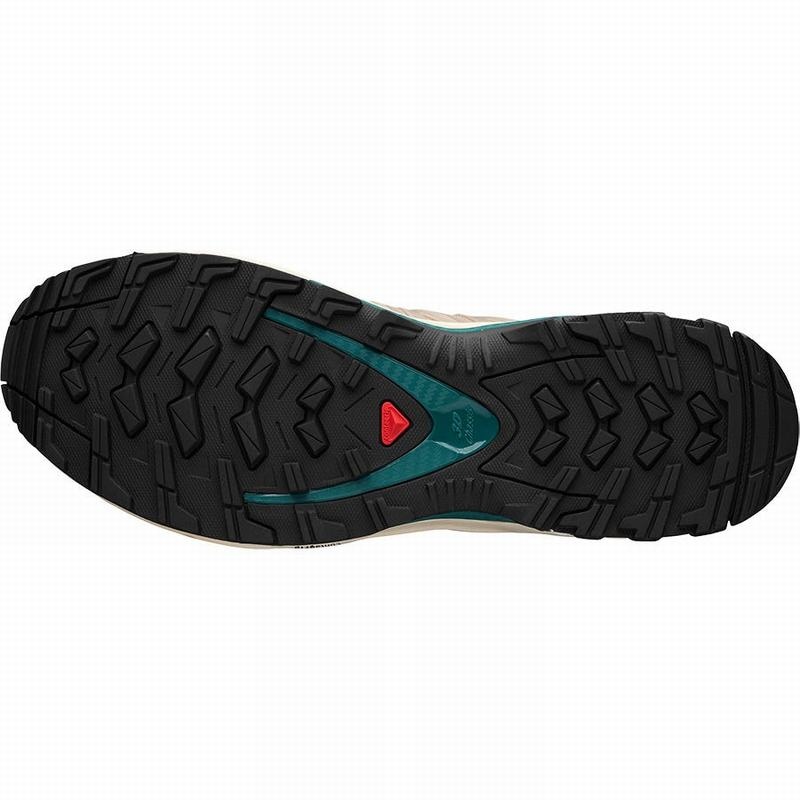 Salomon XA-PRO FUSION ADVANCED Marrones | 7026BWGKZ