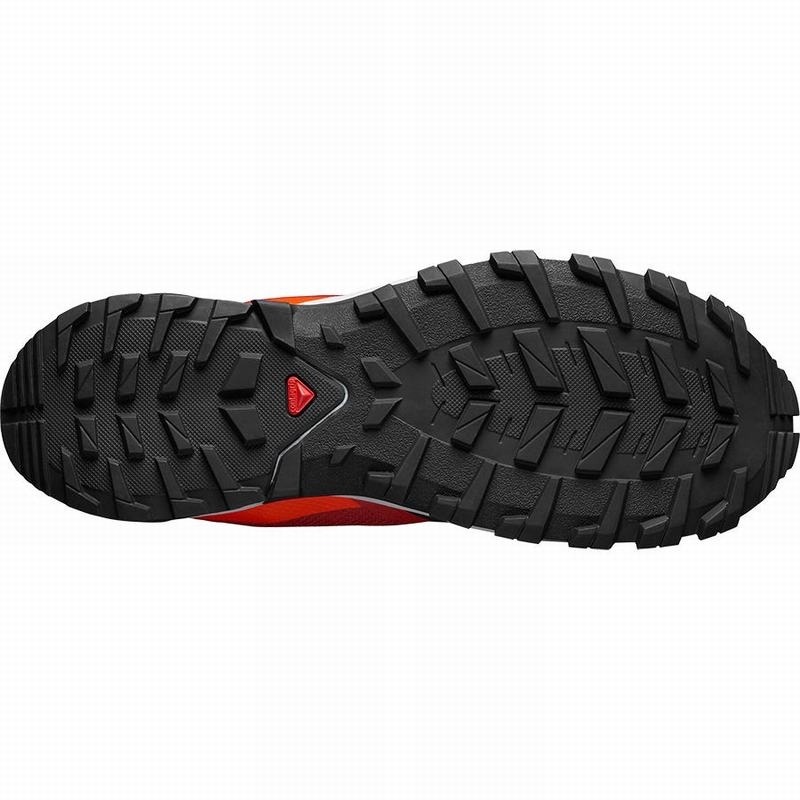 Salomon XA COLLIDER Rojas Negras | 5190AKTDV