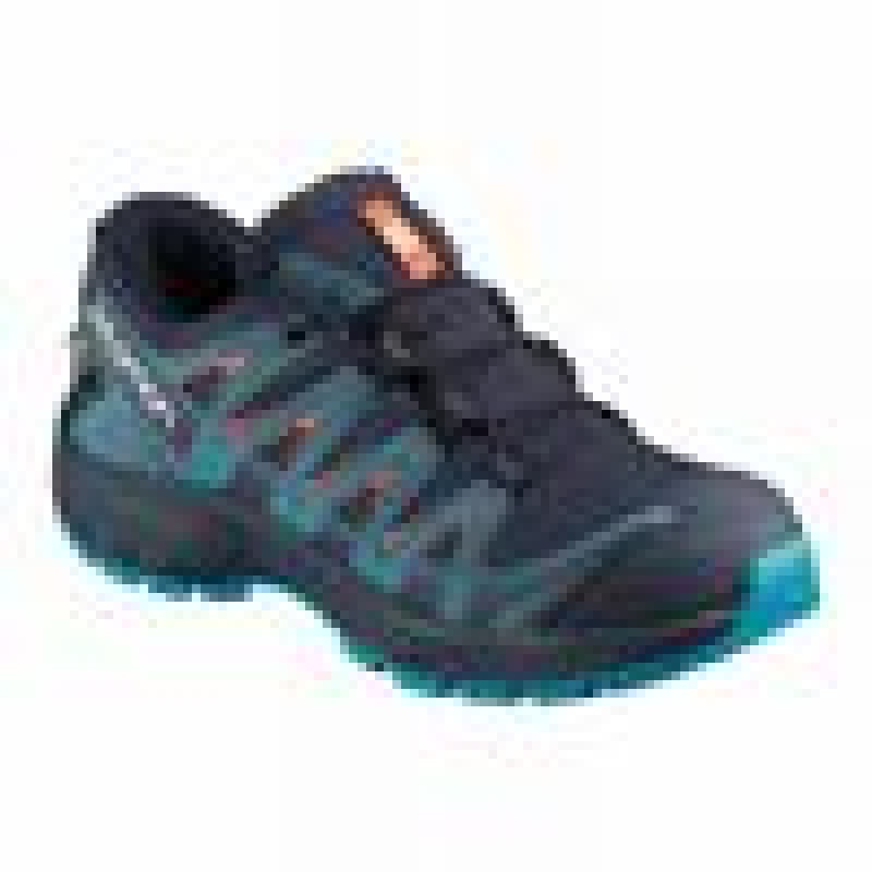 Salomon XA PRO 3D CLIMASALOMON WATERPROOF Negras | 7914JVMRN