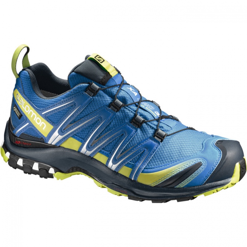 Salomon XA PRO 3D GTX Azules | 3469OFGXW