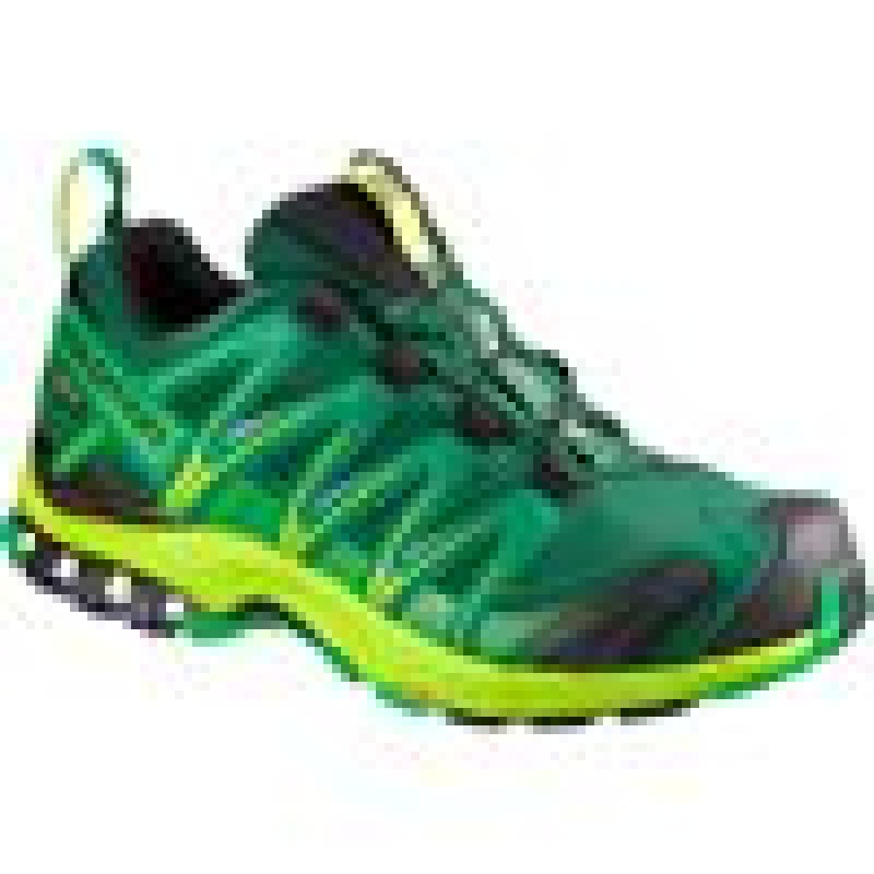 Salomon XA PRO 3D GTX Verde Oscuro | 8210GZECX