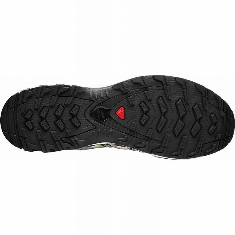 Salomon XA PRO 3D Plateadas Verde Claro | 4956XKLGA