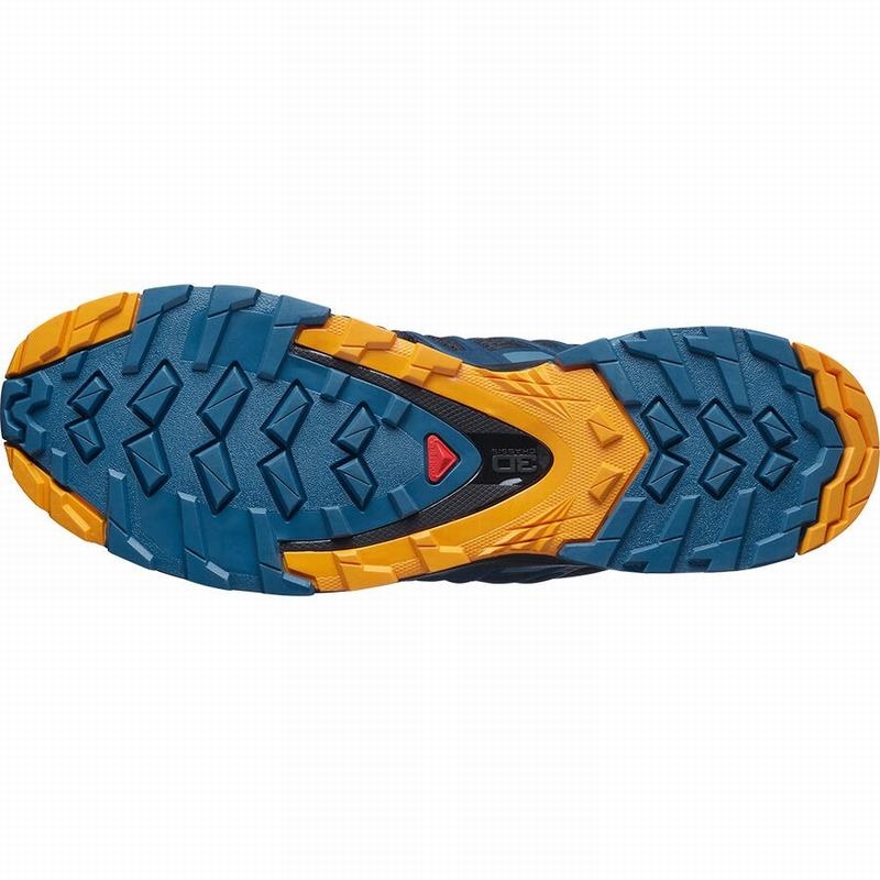 Salomon XA PRO 3D V8 Azul Marino Azules | 2739GHYOK