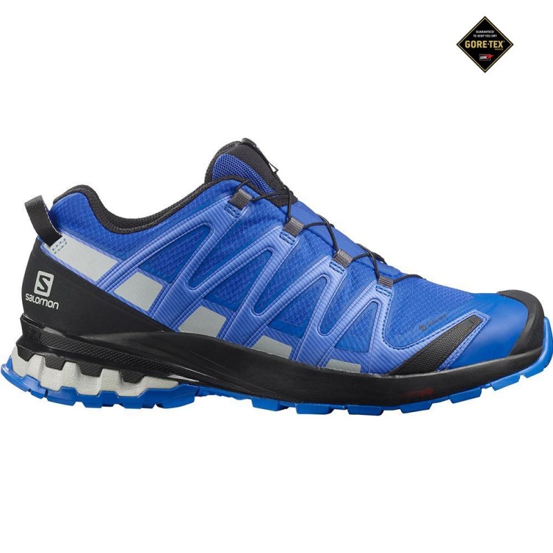 Salomon XA PRO 3D V8 GORE-TEX Azul Marino | 6907TFXAC