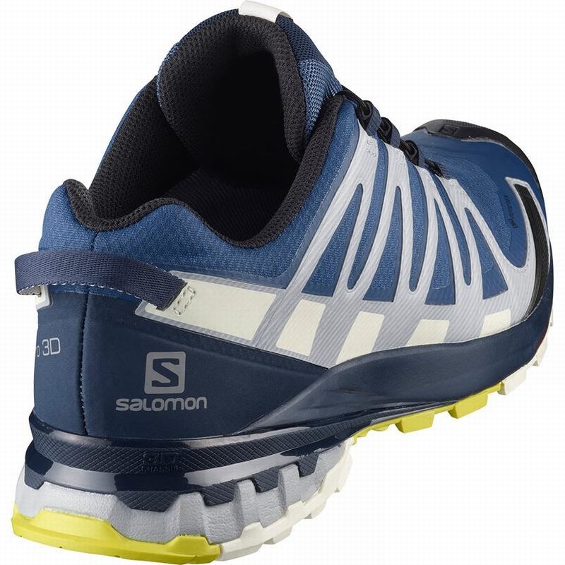 Salomon XA PRO 3D V8 GORE-TEX Azul Marino | 6948FRWQD