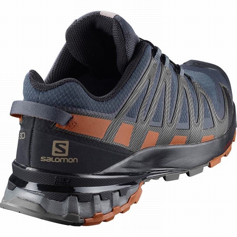 Salomon XA PRO 3D V8 GORE-TEX Azules Oscuro Negras | 9625OGXDP