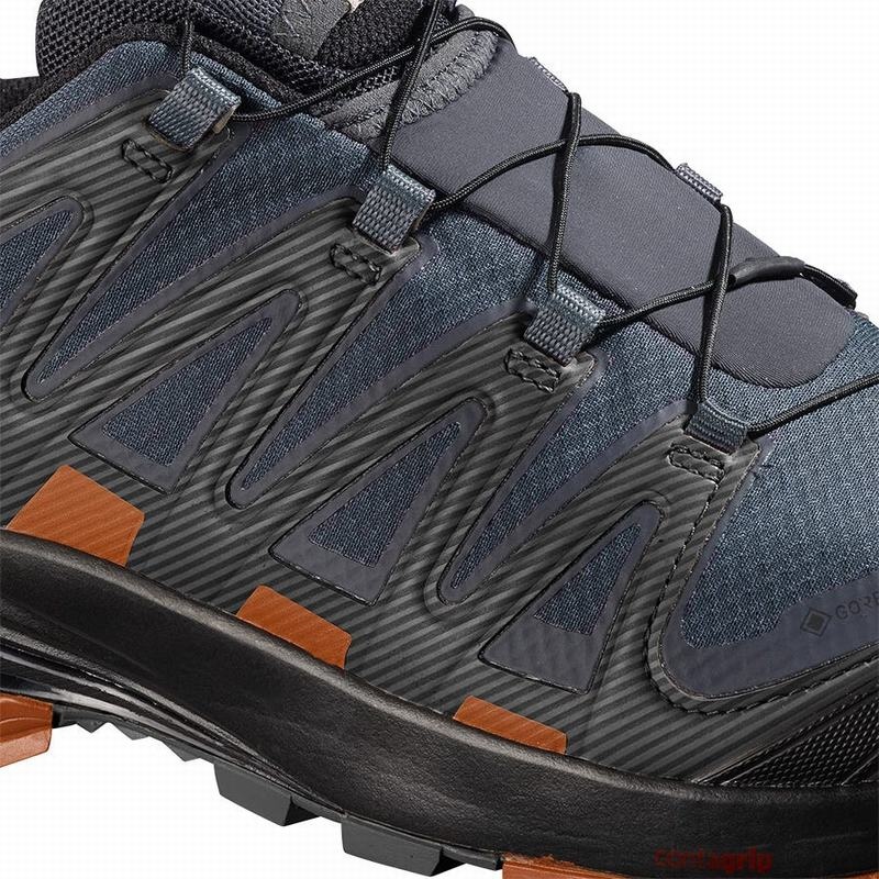 Salomon XA PRO 3D V8 GORE-TEX Azules Oscuro Negras | 9625OGXDP