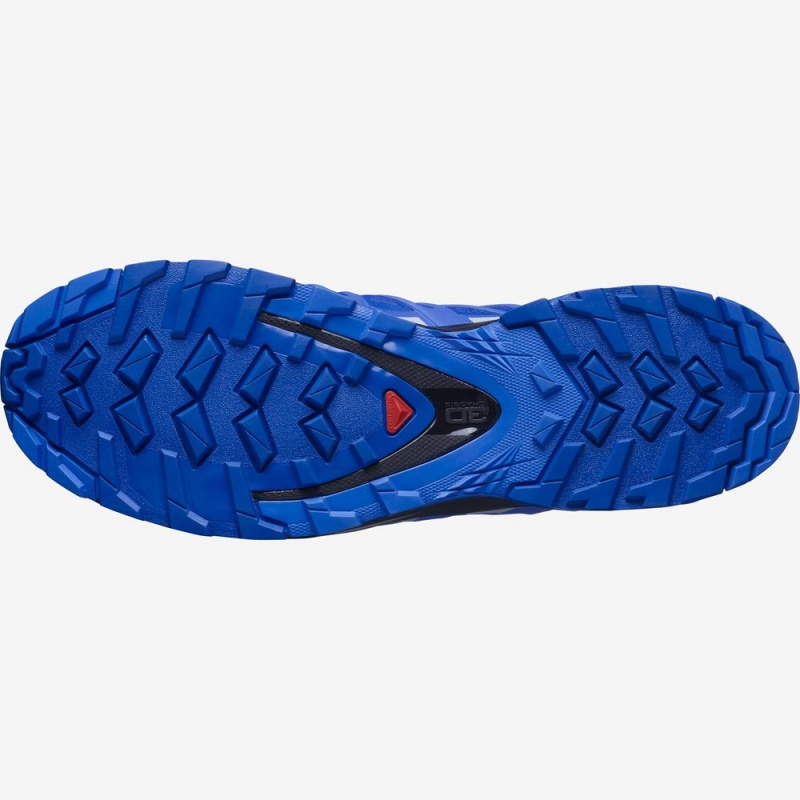 Salomon XA PRO 3D V8 GORE-TEX Azules | 2594XWKBP