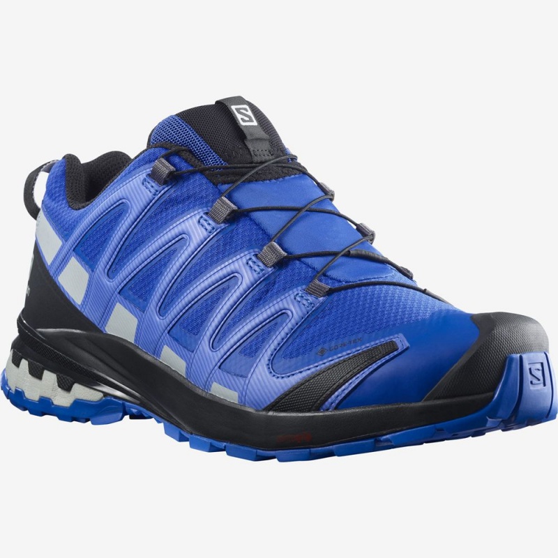 Salomon XA PRO 3D V8 GORE-TEX Azules | 2594XWKBP