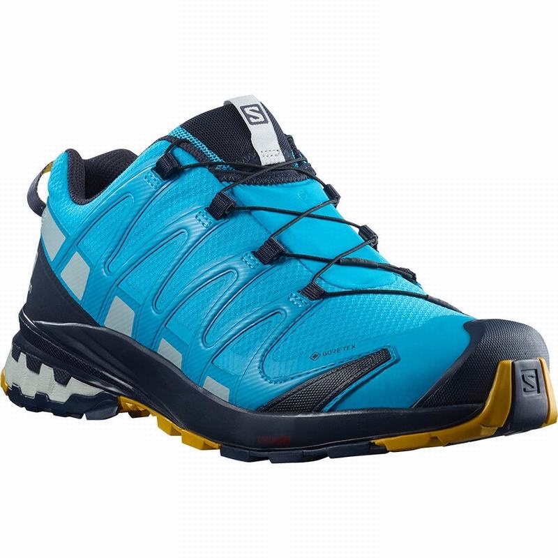 Salomon XA PRO 3D V8 GORE-TEX Azules | 2753MPOQW