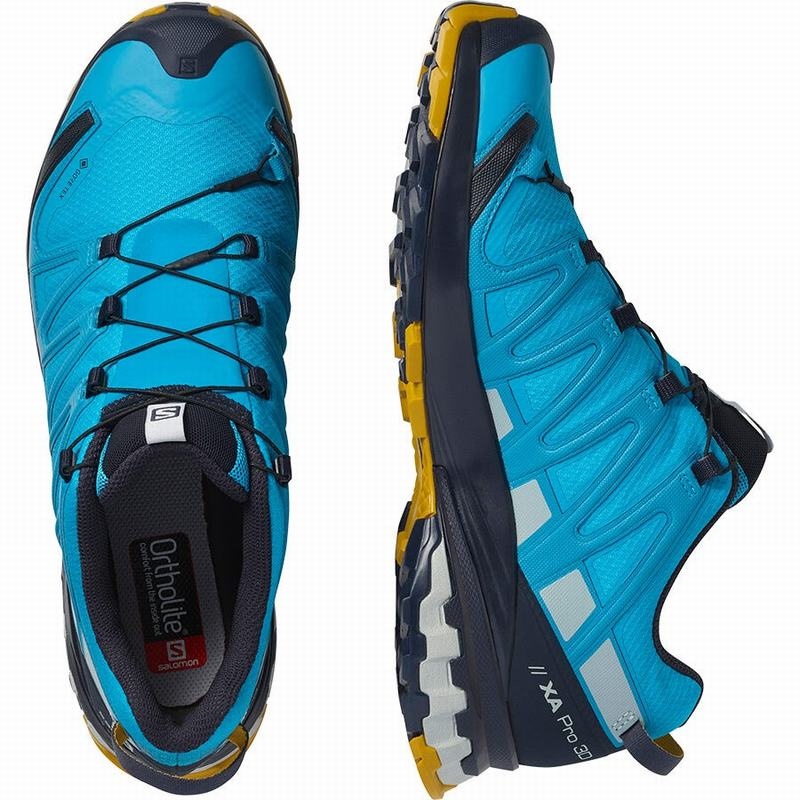 Salomon XA PRO 3D V8 GORE-TEX Azules | 2753MPOQW