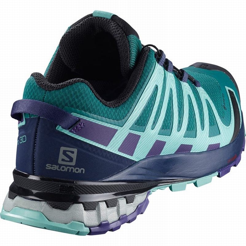 Salomon XA PRO 3D V8 GORE-TEX Azules | 2798ZSBCG