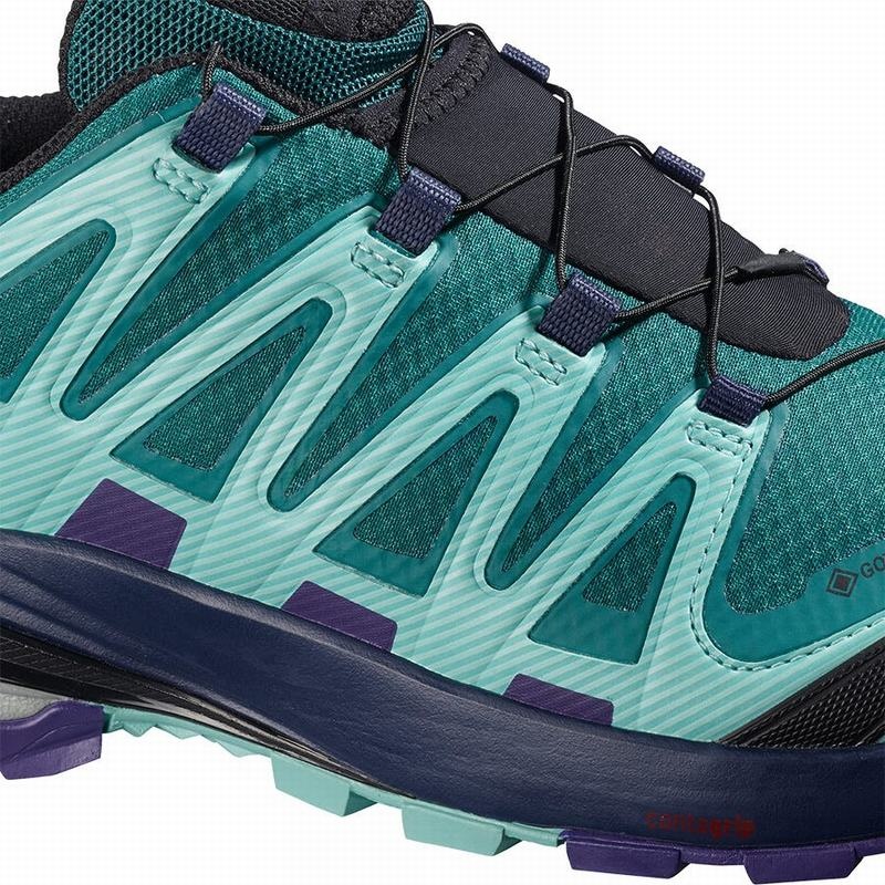 Salomon XA PRO 3D V8 GORE-TEX Azules | 2798ZSBCG