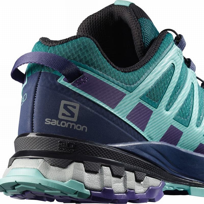 Salomon XA PRO 3D V8 GORE-TEX Azules | 2798ZSBCG