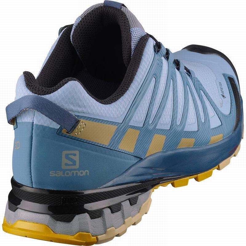 Salomon XA PRO 3D V8 GORE-TEX Azules | 3167BMXIA