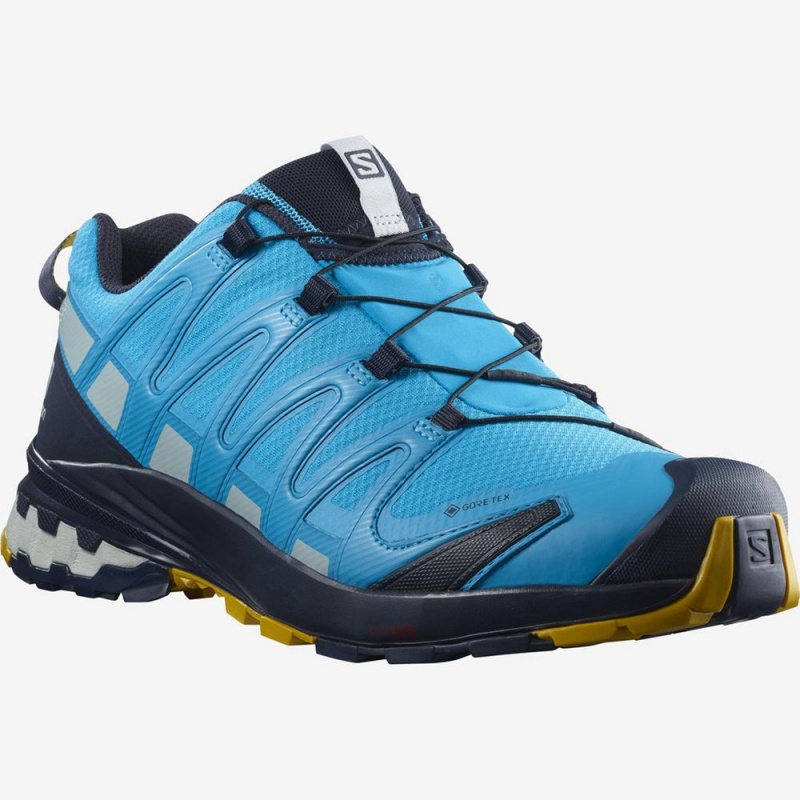 Salomon XA PRO 3D V8 GORE-TEX Azules | 9071SFEBD