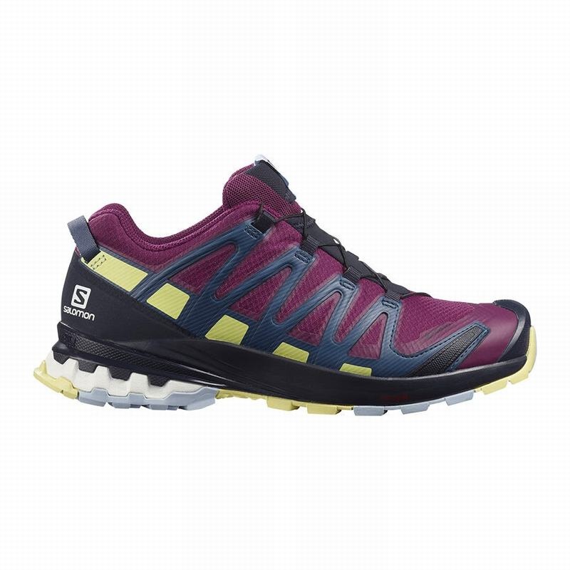 Salomon XA PRO 3D V8 GORE-TEX Moradas | 3687QYMNZ