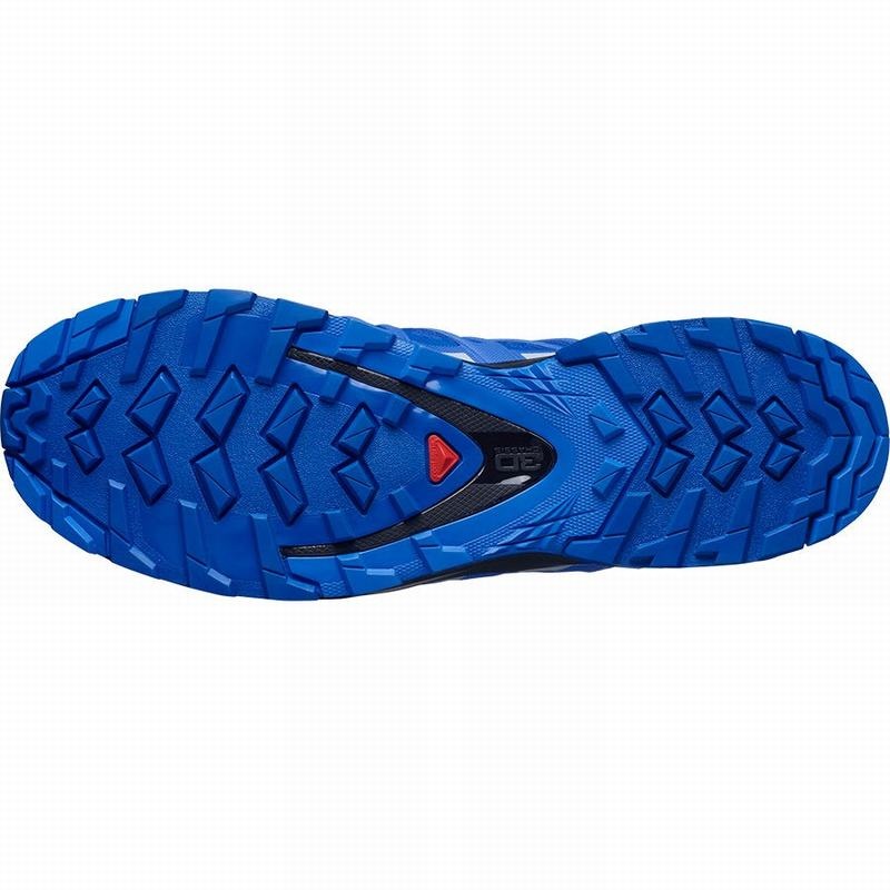 Salomon XA PRO 3D V8 GORE-TEX Negras Azules | 3985RVZFA