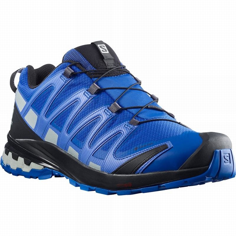 Salomon XA PRO 3D V8 GORE-TEX Negras Azules | 3985RVZFA