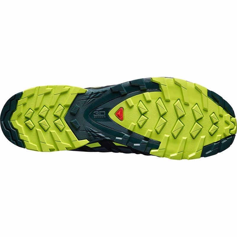 Salomon XA PRO 3D V8 GORE-TEX Negras Verde Claro | 5316BYICD