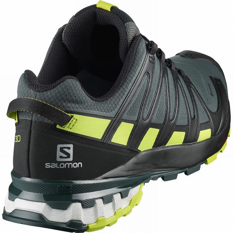 Salomon XA PRO 3D V8 GORE-TEX Negras Verde Claro | 5316BYICD