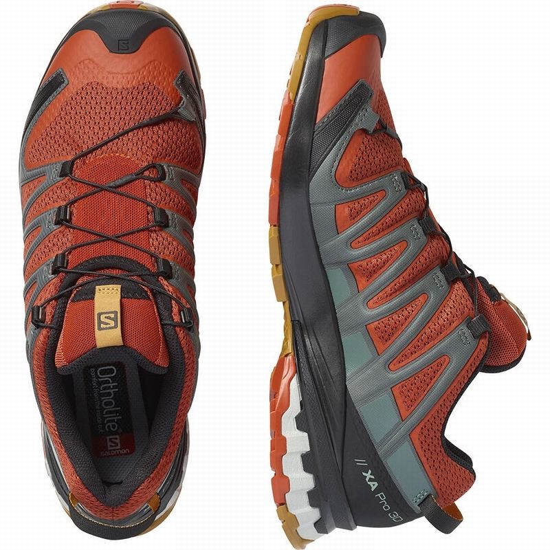 Salomon XA PRO 3D V8 Negras | 5342NHGLB