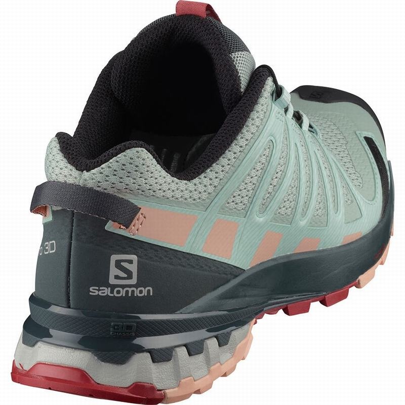 Salomon XA PRO 3D V8 Turquesa Claro Gris | 7591RYSMB