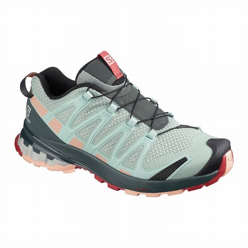 Salomon XA PRO 3D V8 Turquesa Claro Gris | 7591RYSMB