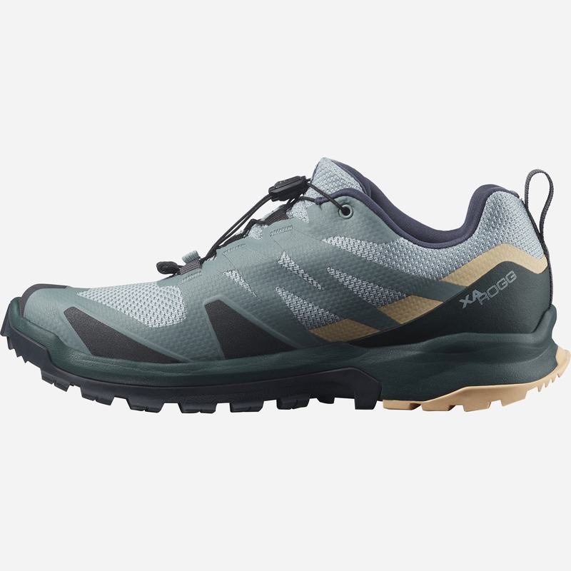 Salomon XA ROGG GTX W Verde Creme | 0963UGLEY