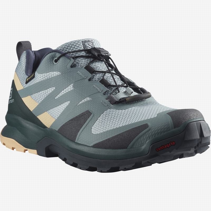 Salomon XA ROGG GTX W Verde Creme | 0963UGLEY