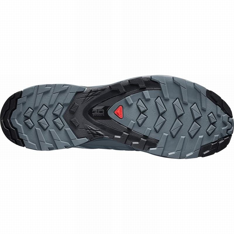 Salomon XA WILD GORE-TEX Gris | 9867BOHZC