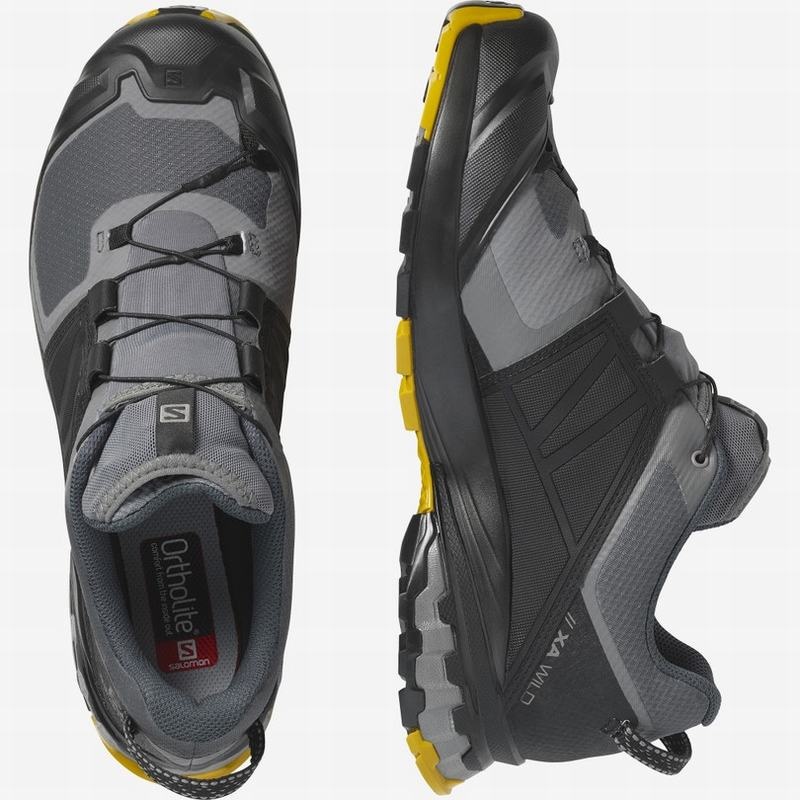 Salomon XA WILD GORE-TEX Negras | 8523HKMUE