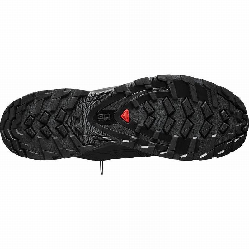 Salomon XA WILD Negras | 4175XPBUT