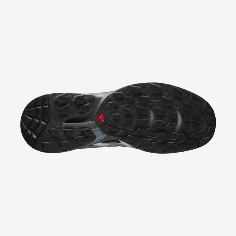 Salomon XT-WINGS 2 Plateadas | 6591GMARX