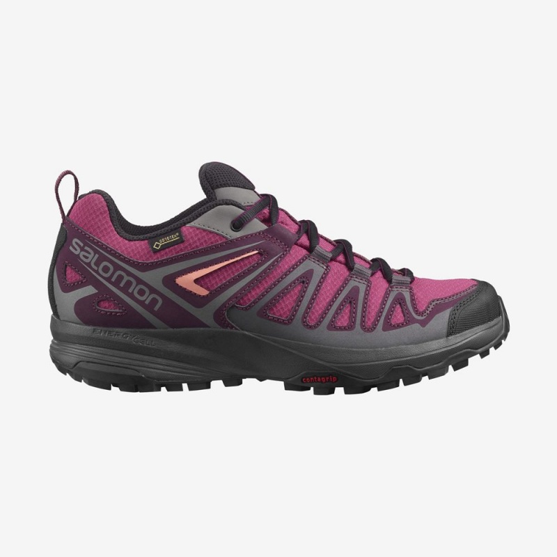 Salomon X CREST GORE-TEX Moradas | 7823QOZDN