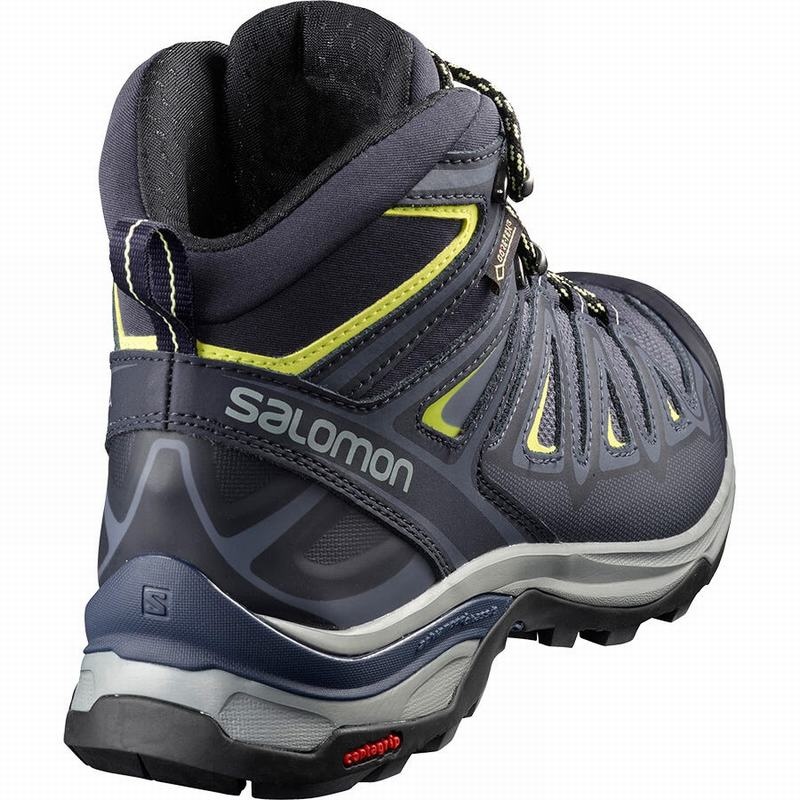 Salomon X ULTRA 3 MID GORE-TEX Azules | 6971VWQHI