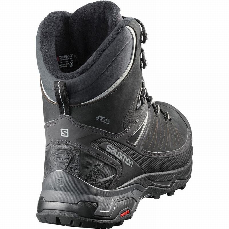 Salomon X ULTRA CLIMASALOMON WATERPROOF 2 Negras | 4870RMZLF